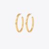 Icon Hoop Ohrringe