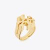 Icon Ring