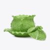 Lettuce Ware Terrine mit Deckel Lettuce Ware Terrine mit Deckel