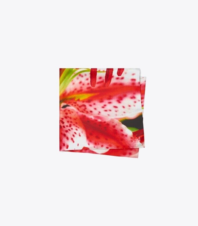 Lily Seidenschal Lily Seidenschal