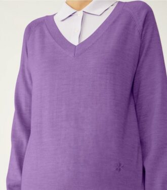 Merino-Pullover mit V-Ausschnitt Merino-Pullover mit V-Ausschnitt