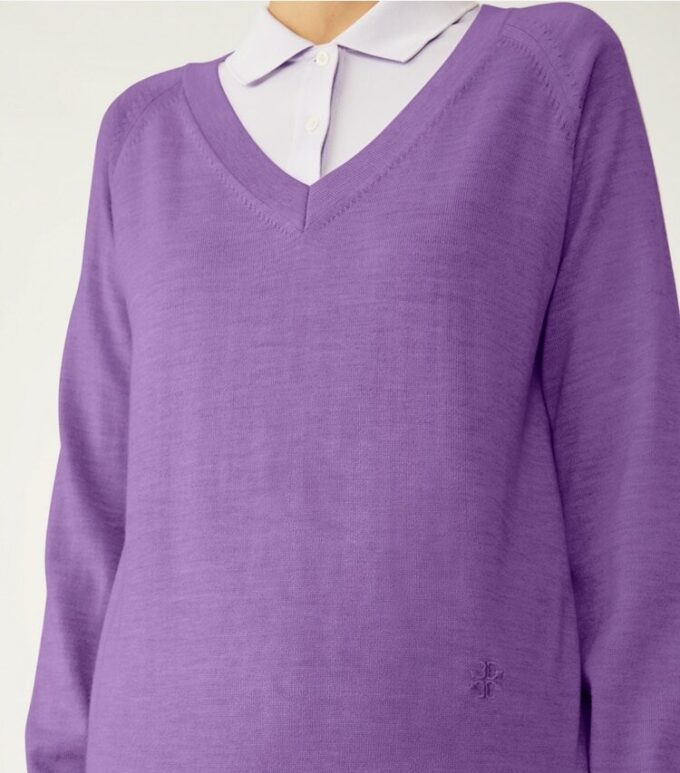 Merino-Pullover mit V-Ausschnitt