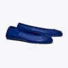 Reva Travel Ballet Reva Travel Ballet