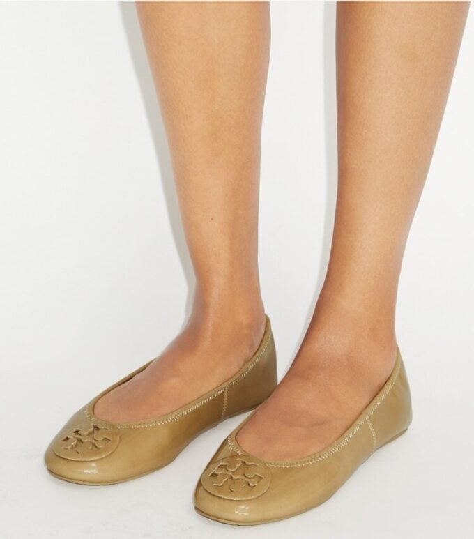 Reva Travel Ballet Reva Travel Ballet