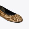 Reva Travel Ballet Reva Travel Ballet